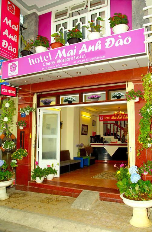 Mai Anh Dao Hotel Далат Экстерьер фото